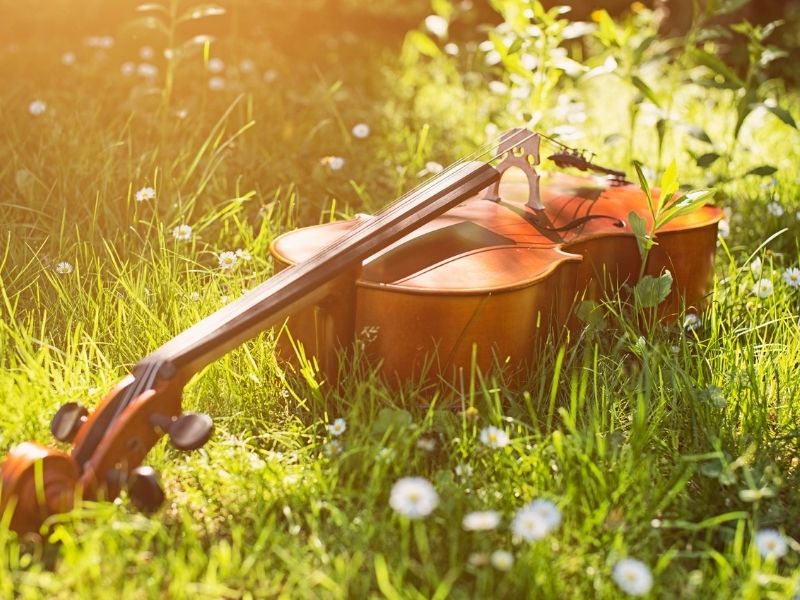 Fotografia em plano detalhe de um violoncelo de madeira deitado de lado em um gramado verde salpicado de pequenas margaridas brancas. A luz dourada do sol incide lateralmente sobre o instrumento e a vegetação, criando um clima acolhedor de fim de tarde.